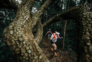 BIB: 
                            <button type="button" onclick="openModal(25700306)" class="btn btn-primary btn-sm float-right btn-popup" data-toggle="modal" data-target=".modal-high-quality">
                        <i class="fas fa-shopping-cart"></i> Add to Cart
                    </button>
                                            <button type="button" onclick="isThisMe(25700306, true)" class="btn btn-success btn-sm float-right btn-popup btn-isme hidden" data-toggle="tooltip" data-placement="bottom" title="นี่คือรูปของคุณใช่ไหม คลิกที่นี่เพื่อเอาเข้าอัลบั้ม">
                        <i class="fas fa-plus"></i> Add to album
                    </button>
                    <button type="button" onclick="isThisMe(25700306, false)" class="btn btn-warning btn-sm float-right btn-popup btn-isnotme hidden">
                        <i class="fas fa-ban"></i> Remove from album
                    </button>